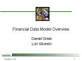 Financial Data Model Overview Daniel Grieb Lori Silvestr