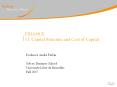 FINANCE 11. Capital Structure and Cost of Capital Professo