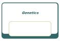 Genetics Genetics of Drosophila Why study Drosophila