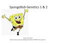 Use your knowledge of genetics to answer the question