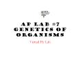 AP Lab #7 Genetics of Organisms Virtual Fly Lab Instruction