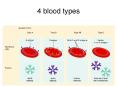 4 blood types A,B,o Blood Typing Genes  A  and  B  ar
