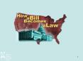 Who can propose a law? Anyone can suggest an idea for a law