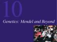 Genetics: Mendel and Beyond Genetics: Mendel and Beyond B
