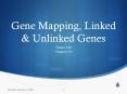 Gene Mapping, Linked & Unlinked Genes Packet #40 Chapter #1