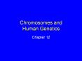 Chromosomes and Human Genetics Chapter 12 Chromosomes 