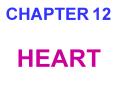 CHAPTER 12 HEART The HEART Normal Pathology NORMA