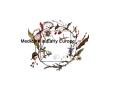 Medicine in Early Europe Herbs and their medicinal facultie