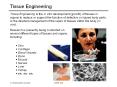 Tissue Engineering Tissue Engineering is the in vitr
