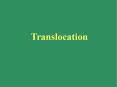 Translocation How the growing parts of the plant ar
