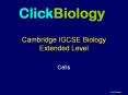 ClickBiology Cambridge IGCSE Biology Extended Level Cell