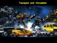 transport and circulation factors affecting transport o