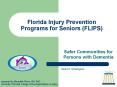 Florida Injury Prevention Programs for Seniors (FLIPS) Safe