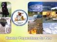 Photo: San Bernardino Press Enterprise Photos: HSUS and AH
