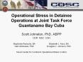 Operational Stress in Detainee Operations at Joint Tas