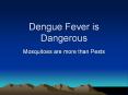 Dengue Fever is Dangerous Mosquitoes are more than Pests Wh