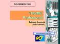 NOVIEMBRE 2006 THOMIL Profesional Delegado Comercial JUA