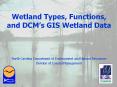 Wetland Types, Functions, and DCM s GIS Wetland Data Nort