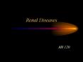 Renal Diseases AH 120 The Nephron: The Functional Unit o