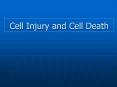 Cell Injury and Cell Death LO Define necrosis Enlist type