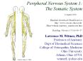 Peripheral Nervous System 1: The Somatic System 2 Augus