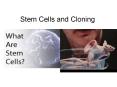Stem Cells and Cloning Two Types Embryonic- created by mean