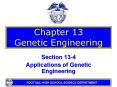 Chapter 13 Genetic Engineering Section 13-4 Applications o