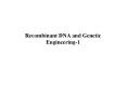 Recombinant DNA and Genetic Engineering-1 Geneti