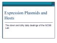 Expression Plasmids and Hosts The down and dirty dail