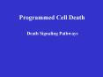 Programmed Cell Death Death Signaling Pathways TNF/FASL TN