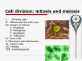 Cell division: mitosis and meiosis Dividing cells II