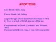 APOPTOSIS Apo: Greek: from, away Ptosis: Greek: fall