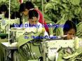 Walt Disney Sweatshops By, Heidi and Dustin 3 Sources o