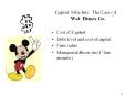 Capital Structure: The Case of Walt Disney Co. Cost o