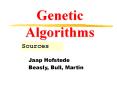 Genetic Algorithms Sources Jaap Hofstede Beasly, Bull