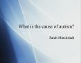 What is the cause of autism? Sarah Marckstadt Autism What i