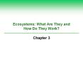Ecosystems: What Are They and How Do They Work? Chapter 