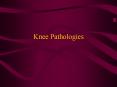 Knee Pathologies Alignment Pathologies General Kne