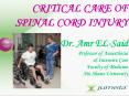 CRITICAL CARE OF SPINAL CORD INJURY Dr. Amr EL-Sai