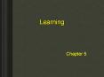 Learning Chapter 5 Learning The process by which practice o