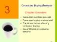3 Consumer Buying Behavior Chapter Overview Consume