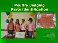 Poultry Judging Parts Identification Created by Connie Pag