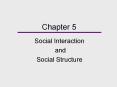 Chapter 5 Social Interaction and Social Structure Answer: 