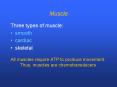 Muscle Three types of muscle: smooth cardiac skeletal Al