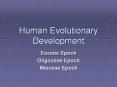 Human Evolutionary Development Eocene Epoch Oligocene Epoc