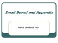 Small Bowel and Appendix Joshua Eberhardt, M.D. Diseases o