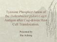 Tyrosine Phosphorylation of the Helicobacter pylori Cag