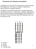 Chromosomes and chromosome rearrangements Cytogenetics i
