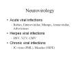 Neurovirology Acute viral infections Rabies, Enteroviridae