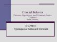 Criminal Behavior Theories, Typologies, and Criminal Justic
